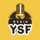 Логотип радио станции Radio YSF