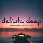 Логотип радио станции Delish Deep Radio