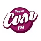 Логотип радио станции Соль FM Rap